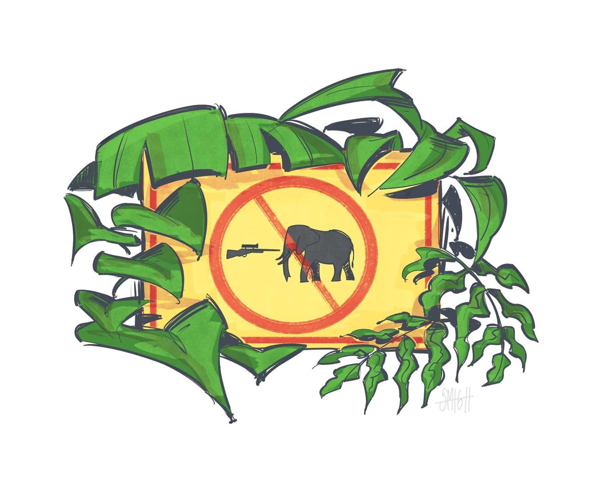 Myanmar's Wild Elephants on the Brink