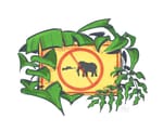 မြန်မာ့ရတနာများရဲ့ ခရီးကြမ်း